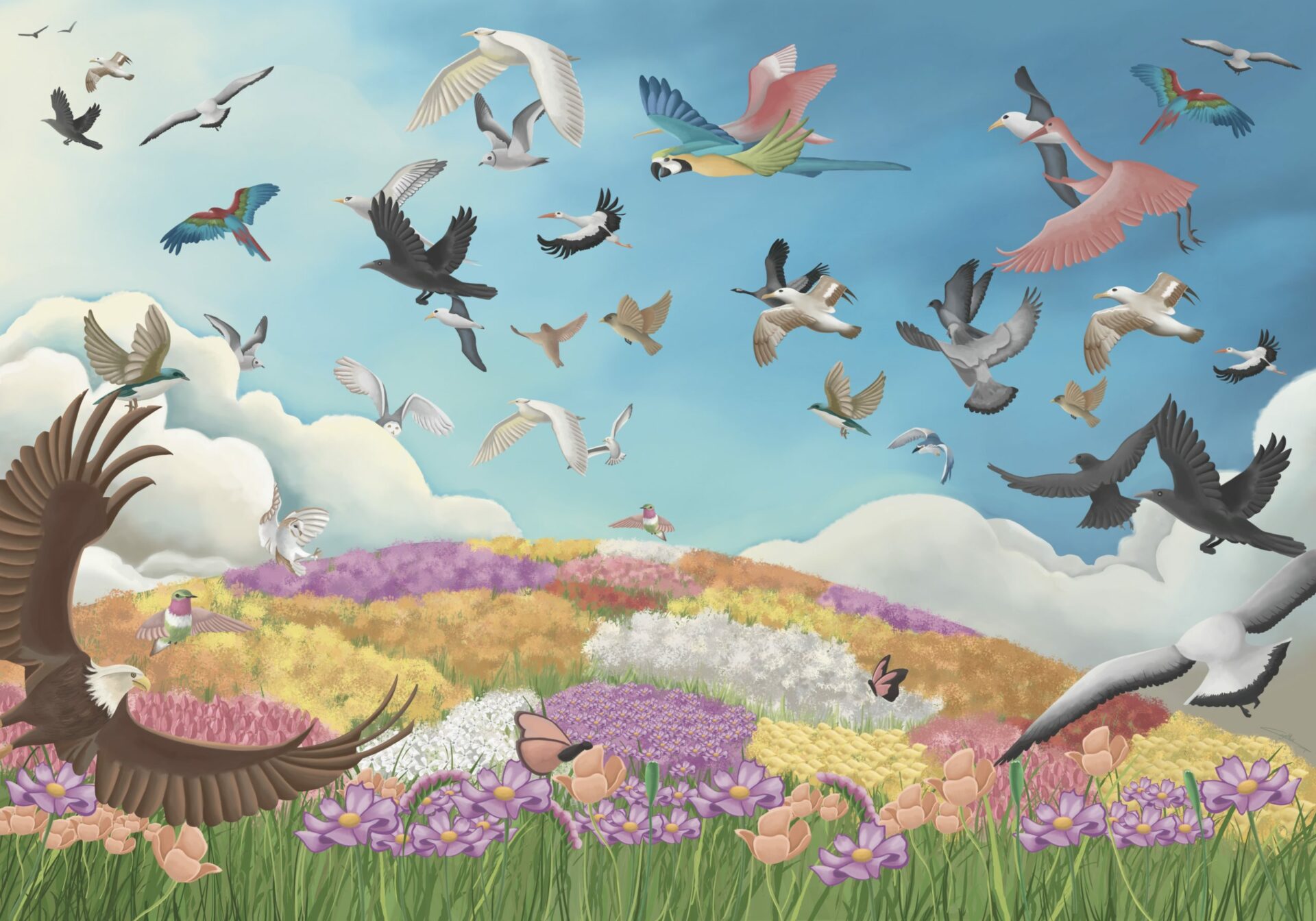 Illustration amazing birds by Cynthia Artstudio