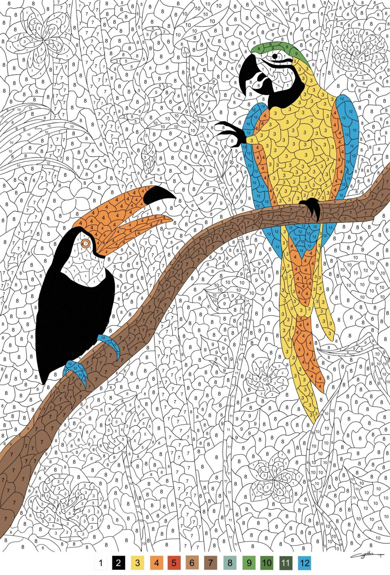 Portfolio, Coloriage mystère oiseaux tropicaux fait par l’illustratrice Cynthia Artstudio