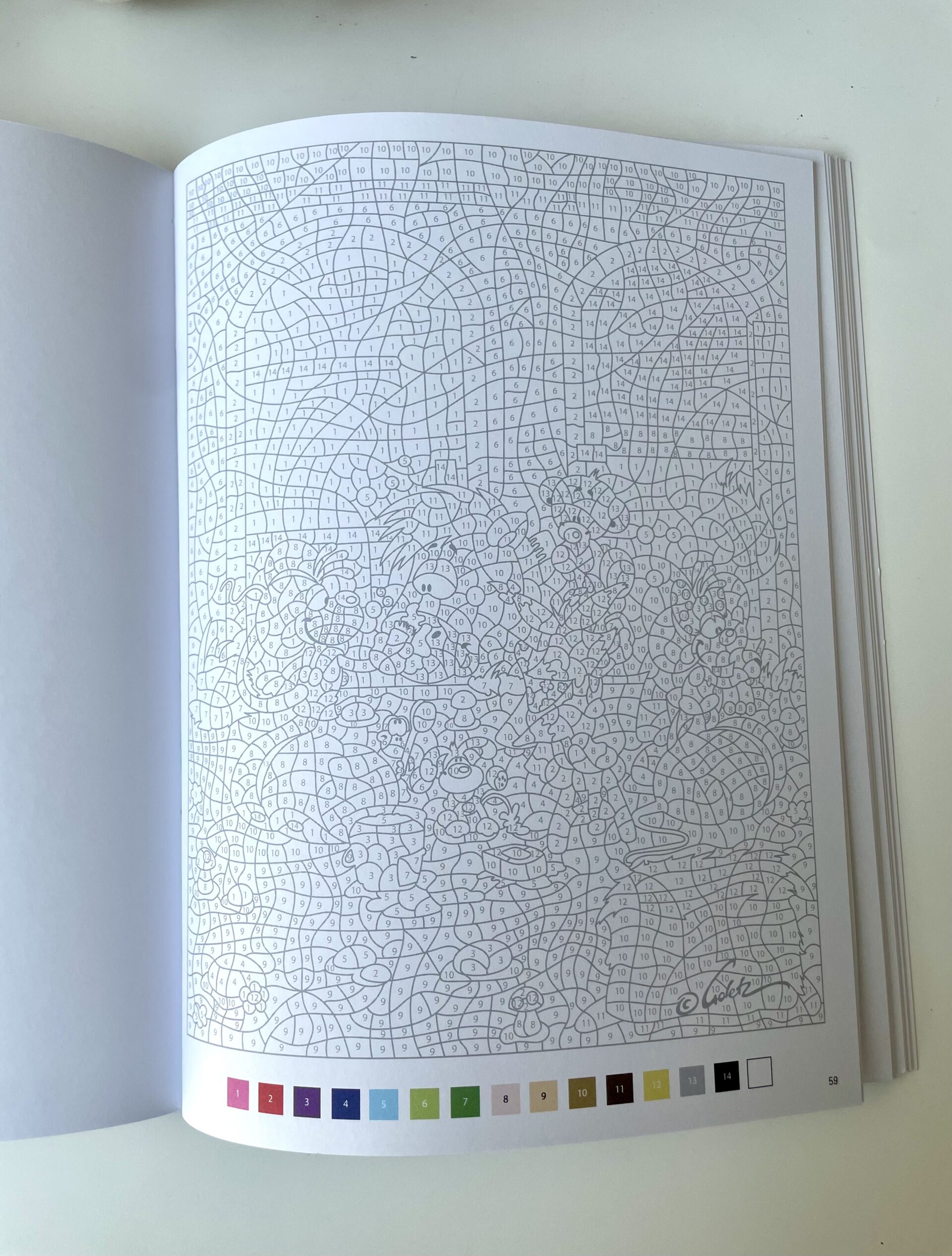illustrateur de livre de coloriage mystère Cynthia Artstudio, coloriage mystère Diddl