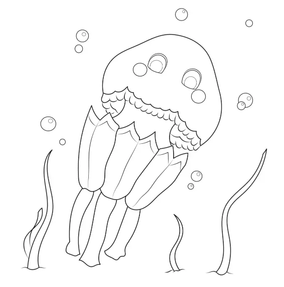coloriage méduse ile des Embiez