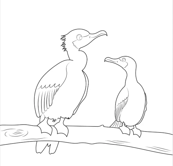 coloriage comoran ile des Embiez