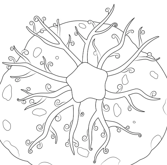 coloriage pour ile des Embiez