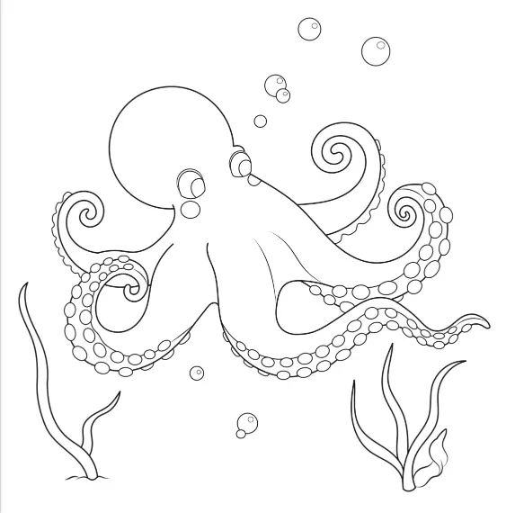 coloriage pieuvre pour l'ile des Embiez